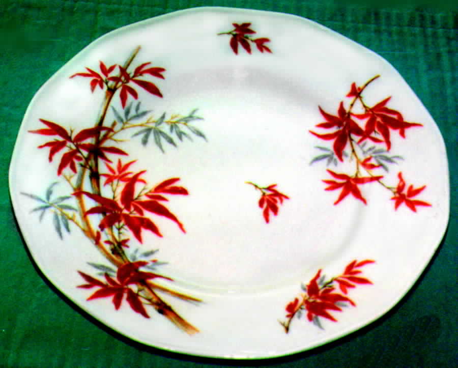 H475 Dinner Plate by Haviland-1