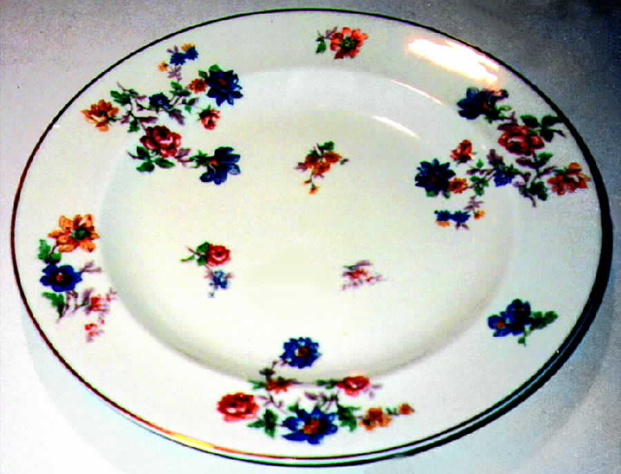 H476 Dinner Plate by Haviland-1