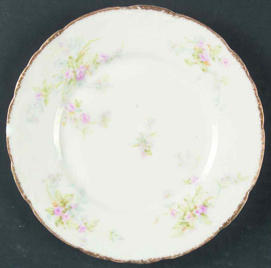 Schleiger 310-4 Salad Plate by Haviland-1
