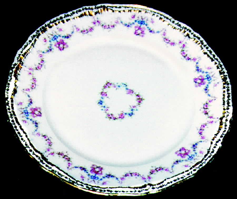Schleiger 597-4 Dinner Plate by Haviland-1