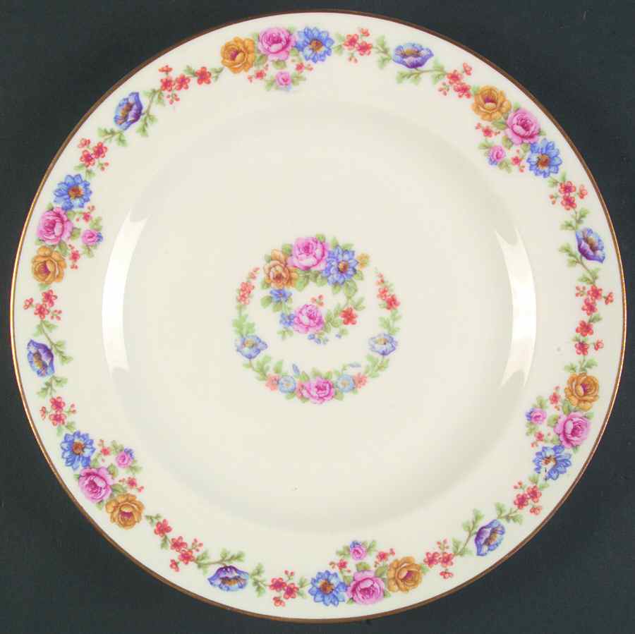 H482 Dinner Plate by Haviland-1