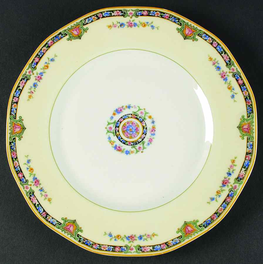 H483 Dinner Plate by Haviland-1