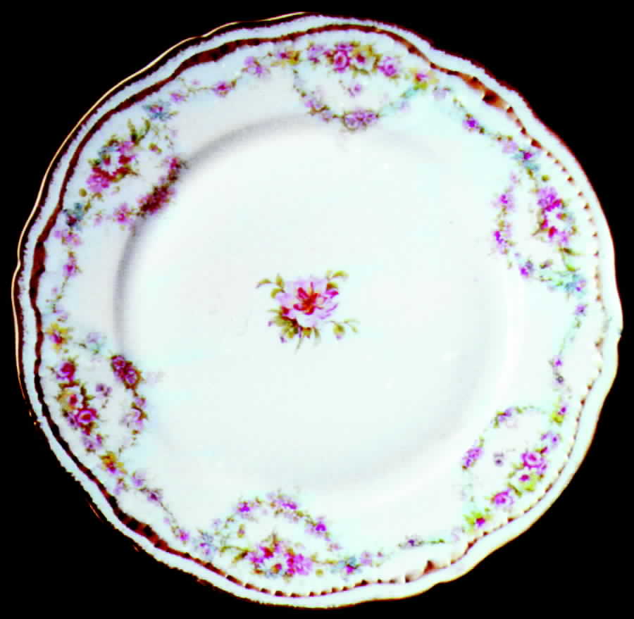 Schleiger 1053-2 Dinner Plate by Haviland-1