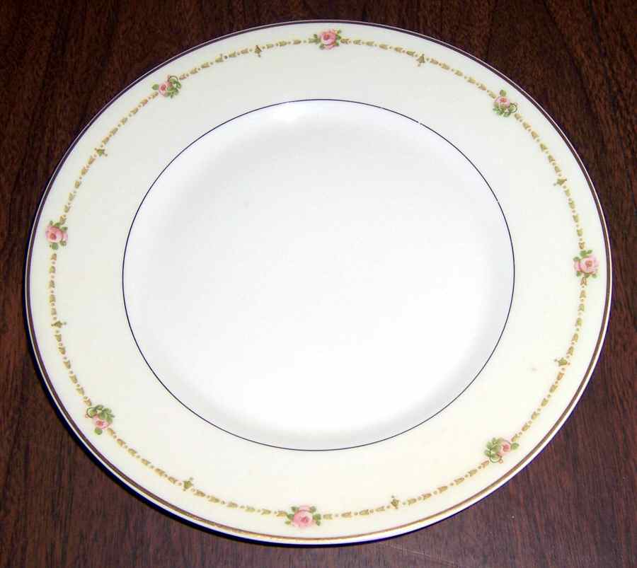 H486 Dinner Plate by Haviland-1