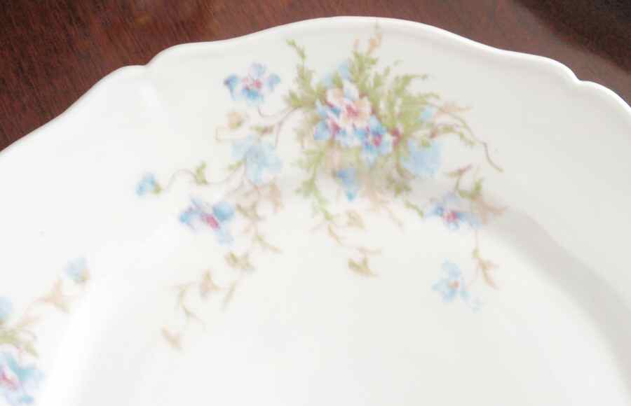 Schleiger 147-7 Dinner Plate by Haviland-1