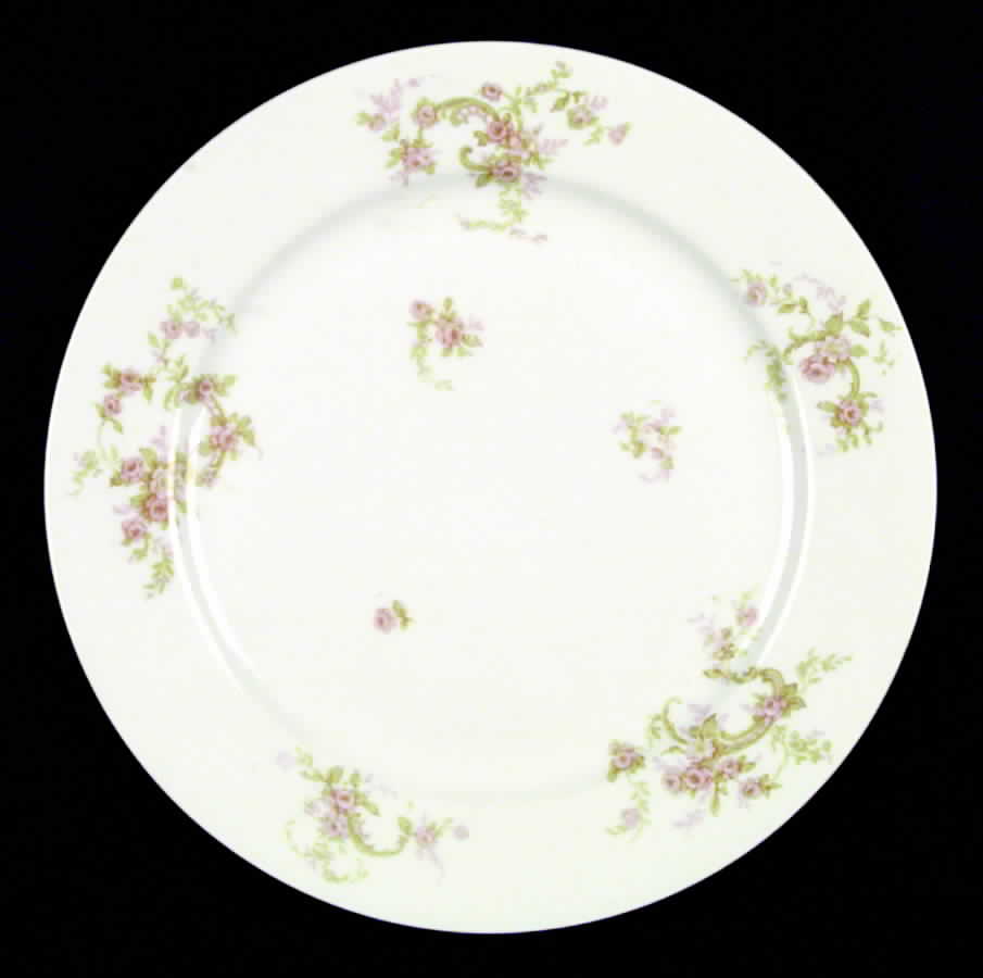 H49 Dinner Plate by Haviland-1