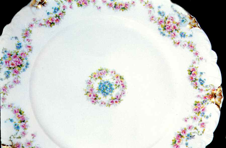 Schleiger 851-2 Dinner Plate by Haviland-1