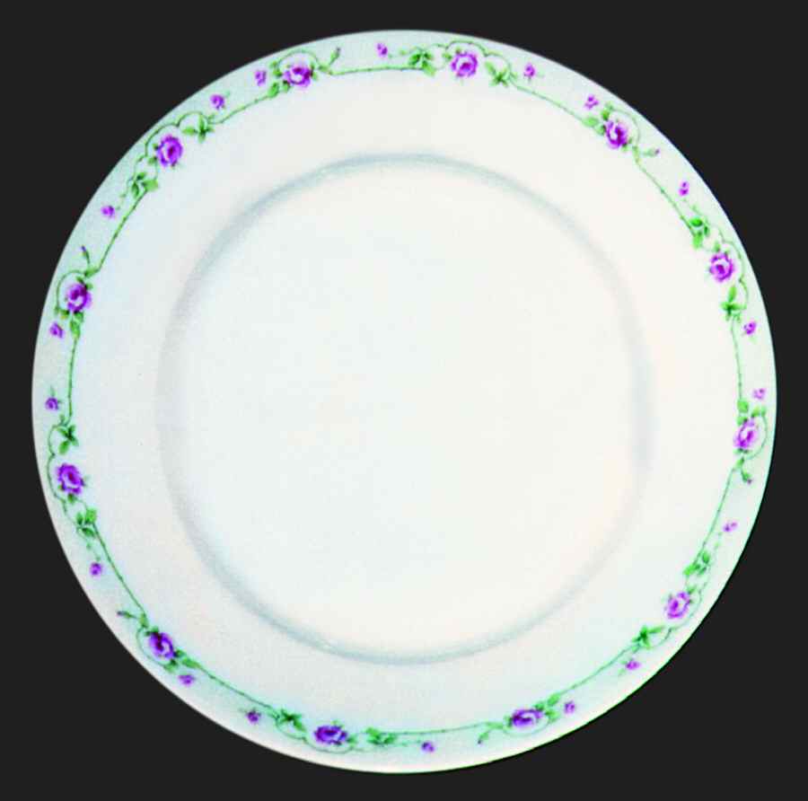 H491 Dinner Plate by Haviland-1