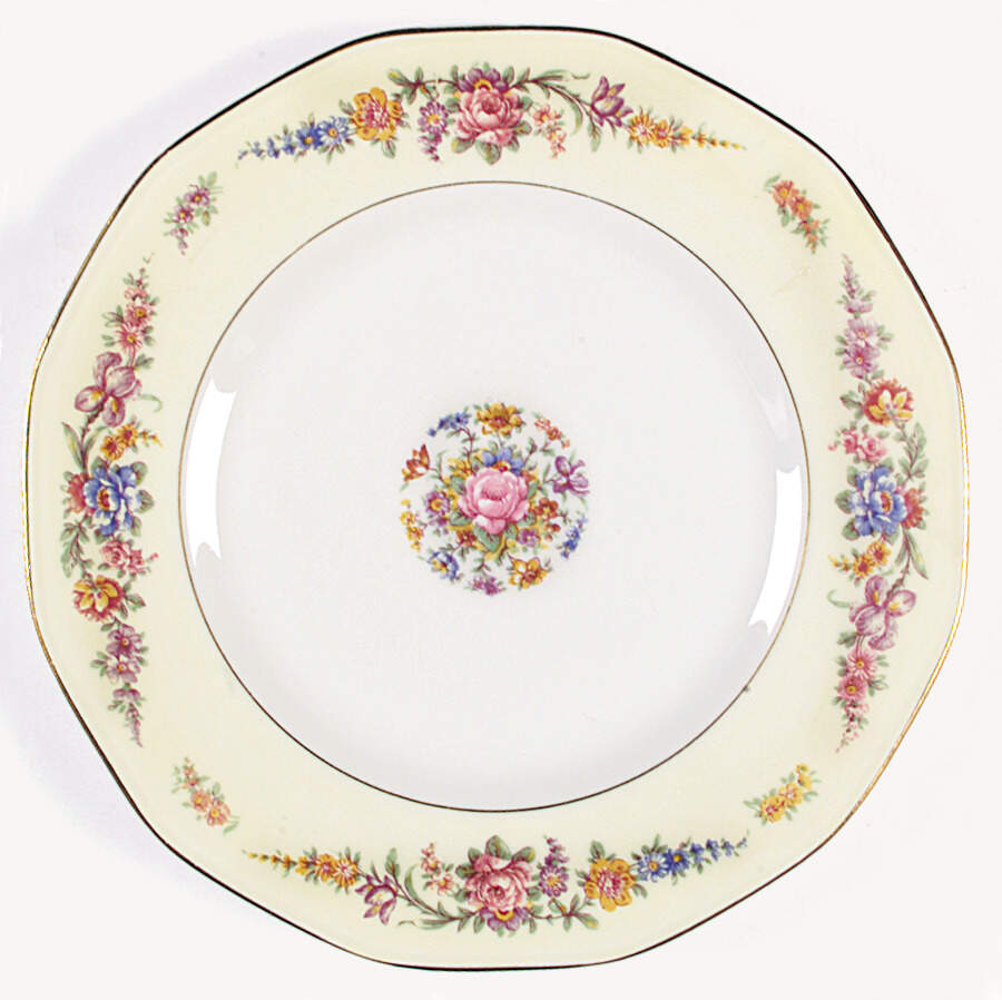 H492 Dinner Plate by Haviland-1