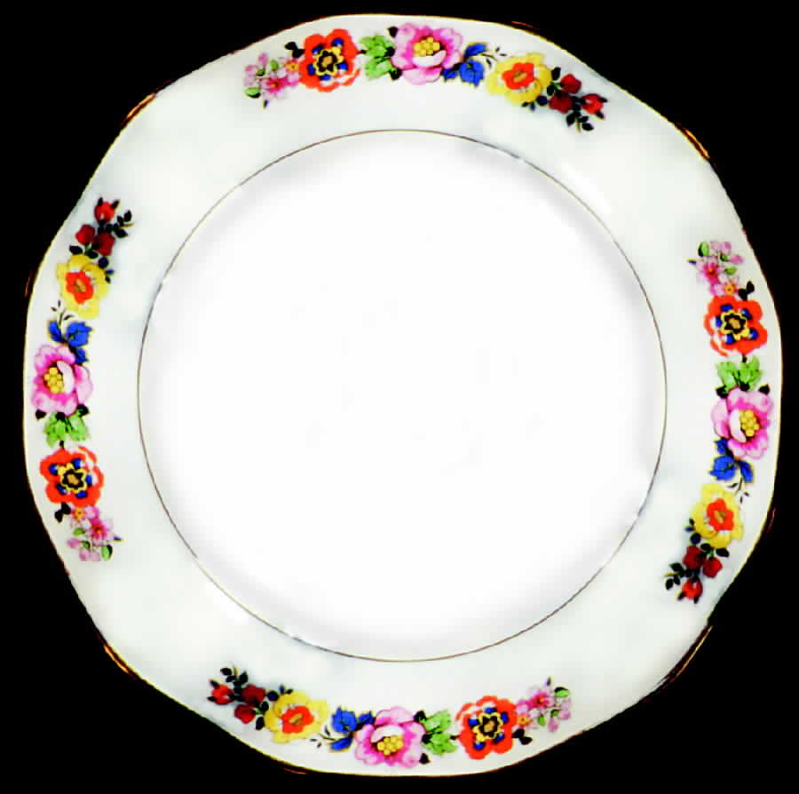 H493 Dinner Plate by Haviland-1
