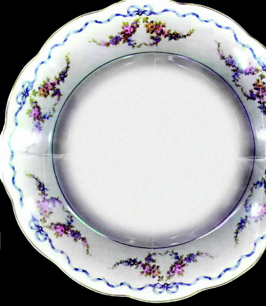 H494 Dinner Plate by Haviland-1