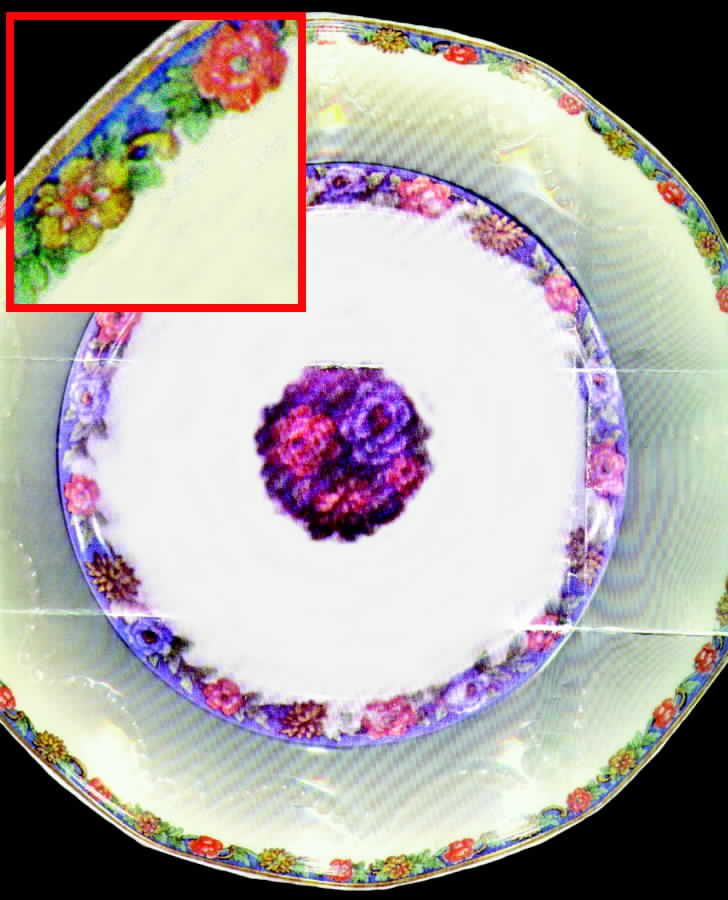 H495 Dinner Plate by Haviland-1