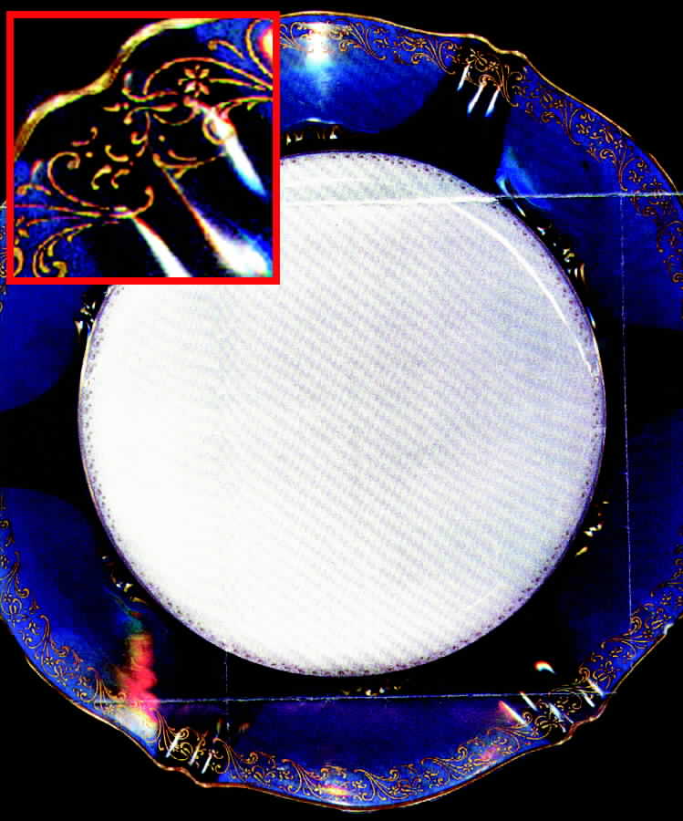H498 Dinner Plate by Haviland-1