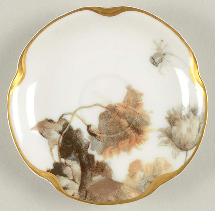 Flowers and Seeds (Blank 19) Saucer for Demitasse Cup by Haviland-1