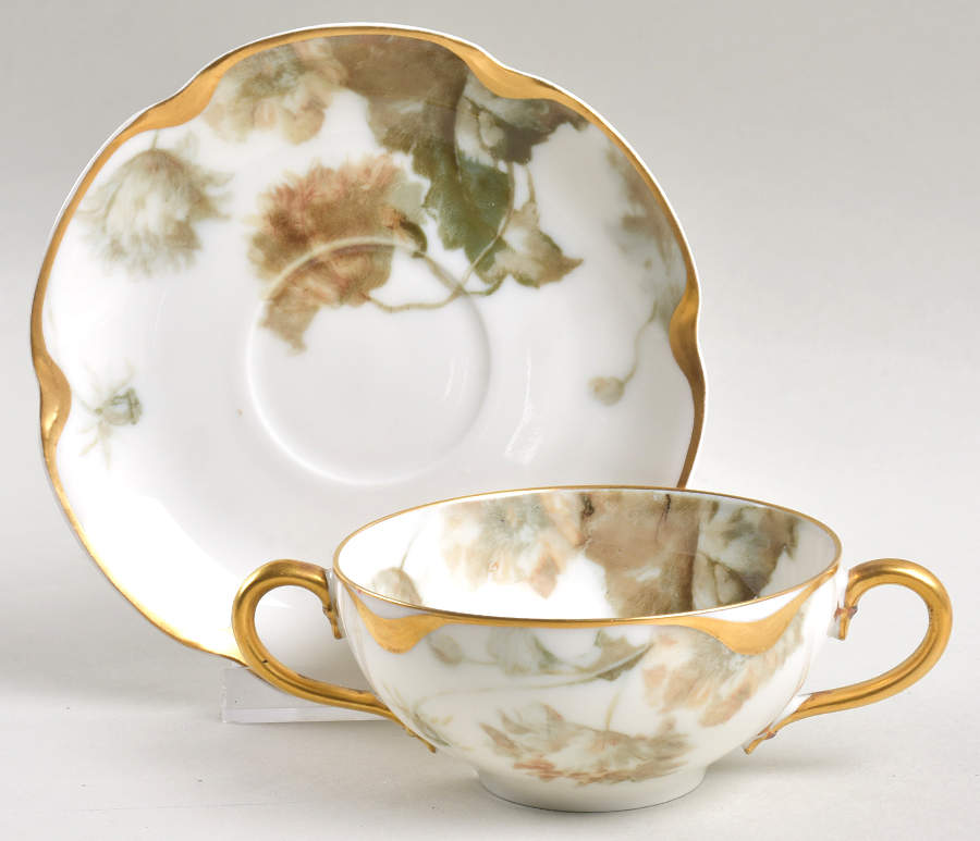 Flowers and Seeds (Blank 19) Flat Bouillon Cup & Saucer by Haviland-1