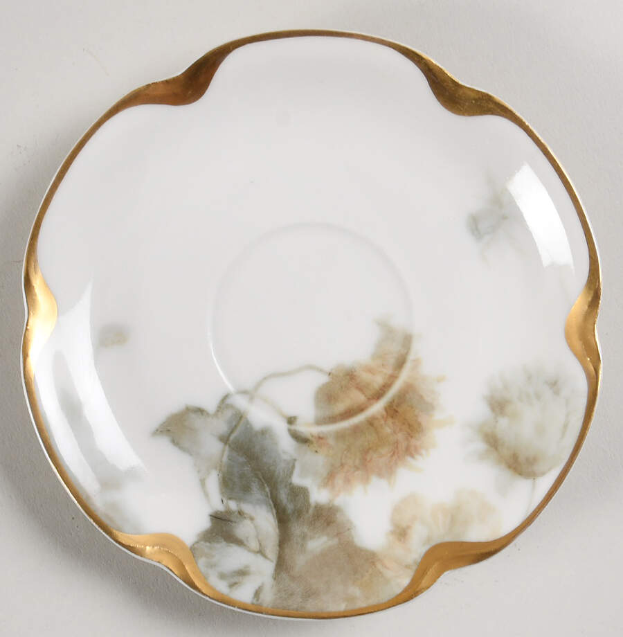 Flowers and Seeds (Blank 19) Saucer by Haviland-1