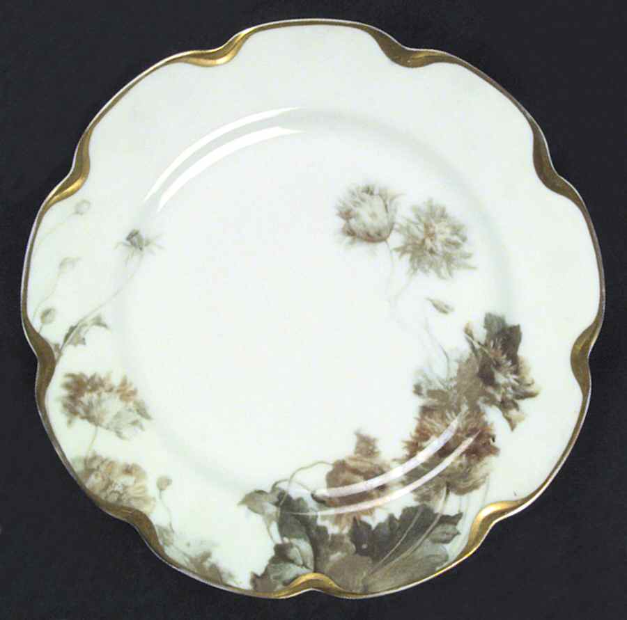 Flowers and Seeds (Blank 19) Dinner Plate by Haviland-1