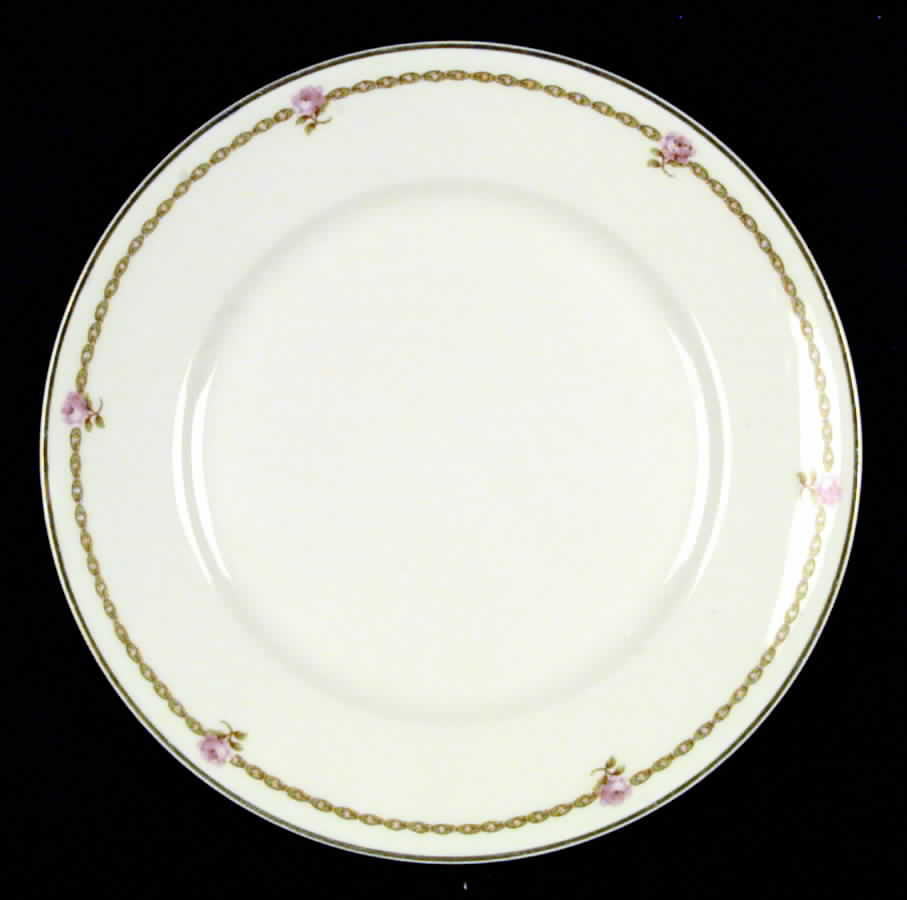 H50 Dinner Plate by Haviland-1