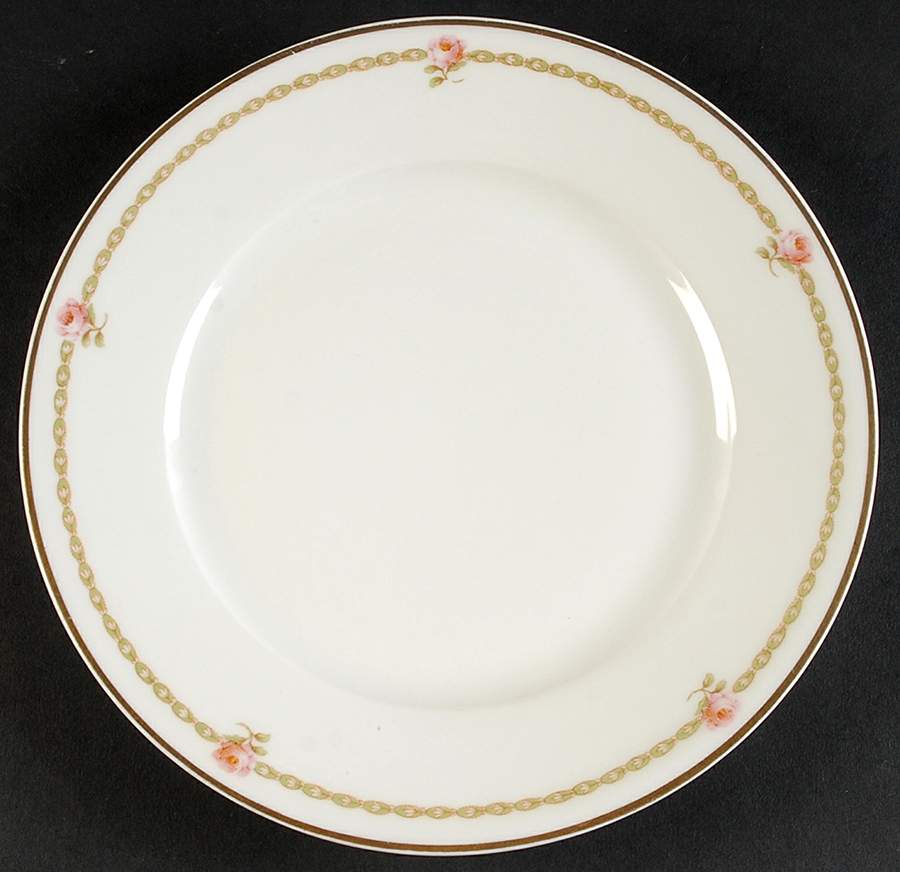 H50 Luncheon Plate by Haviland-1