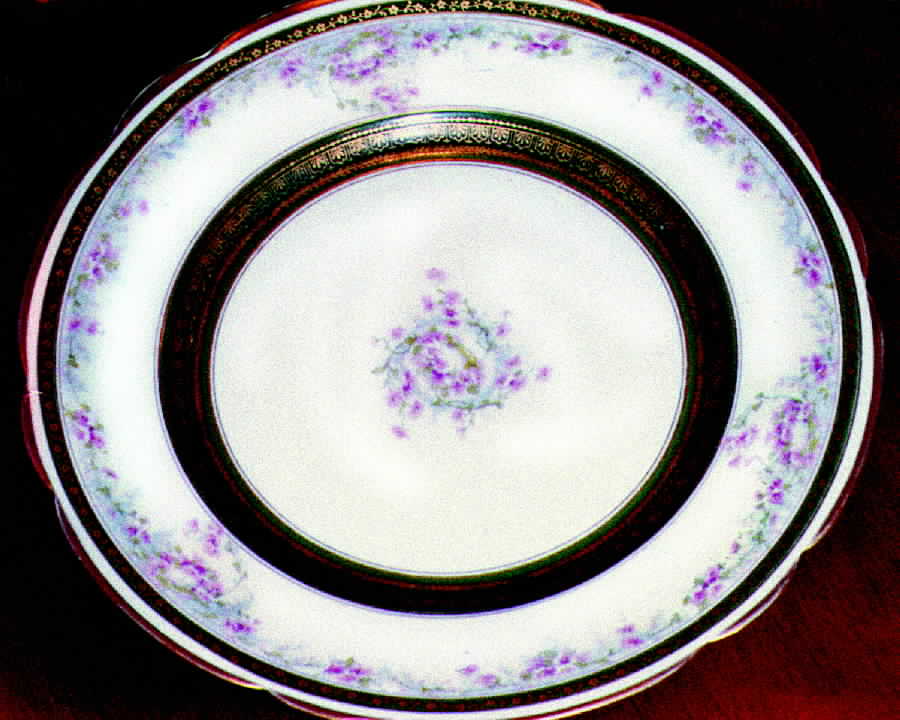 H500 Dinner Plate by Haviland-1