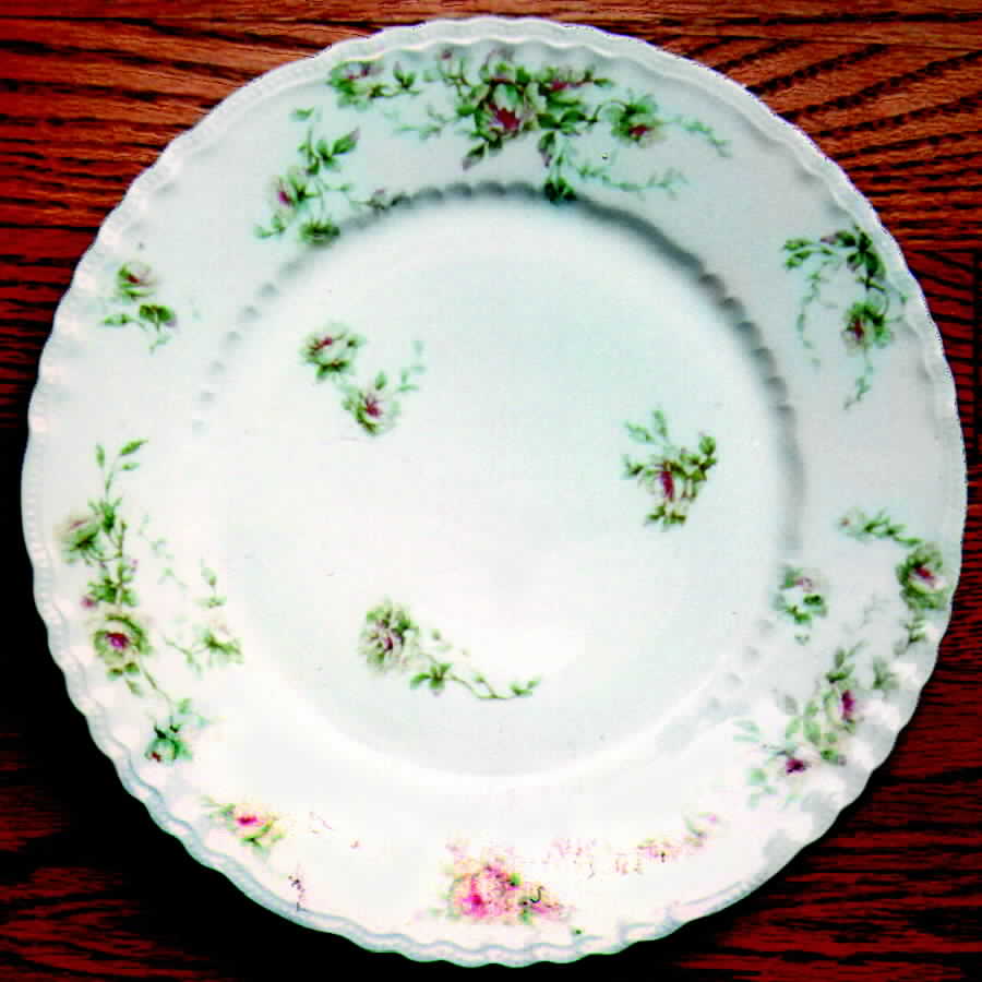 H502 Dinner Plate by Haviland-1