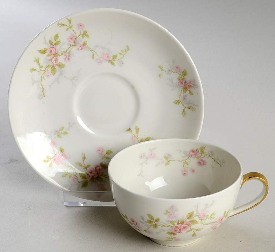 H504 Flat Cup & Saucer Set by Haviland-1