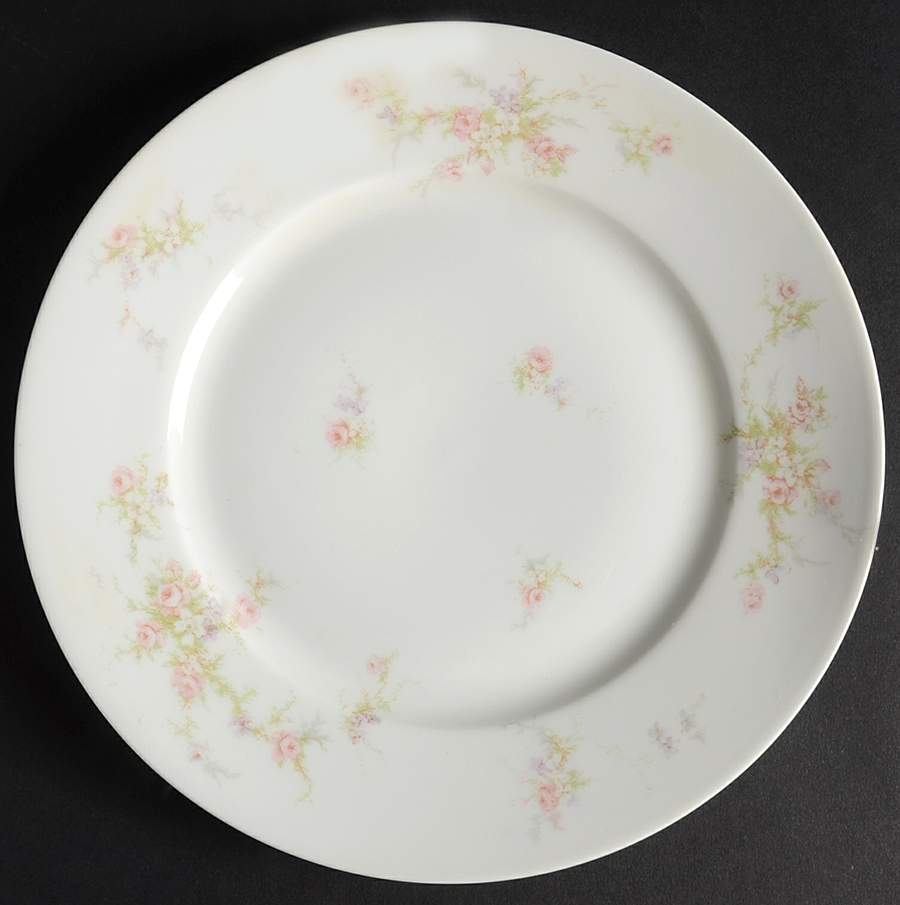 H504 Luncheon Plate by Haviland-1