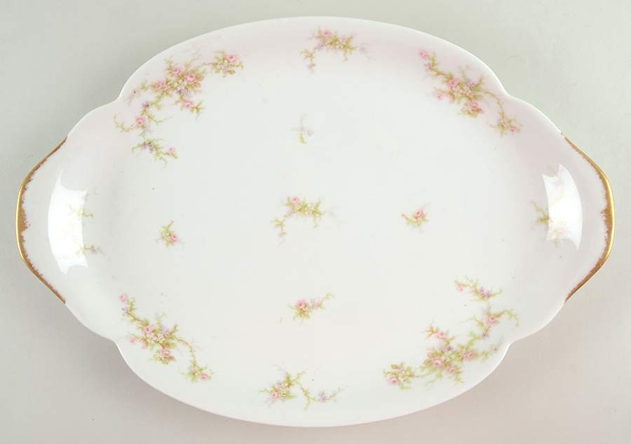 H504 11" Oval Serving Platter by Haviland-1
