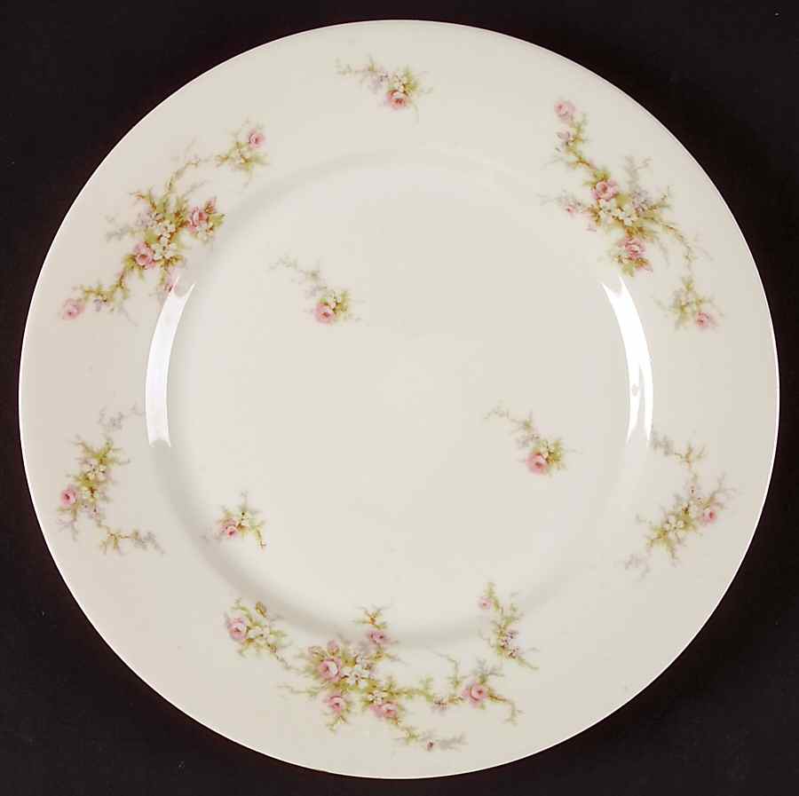 H504 Dinner Plate by Haviland-1