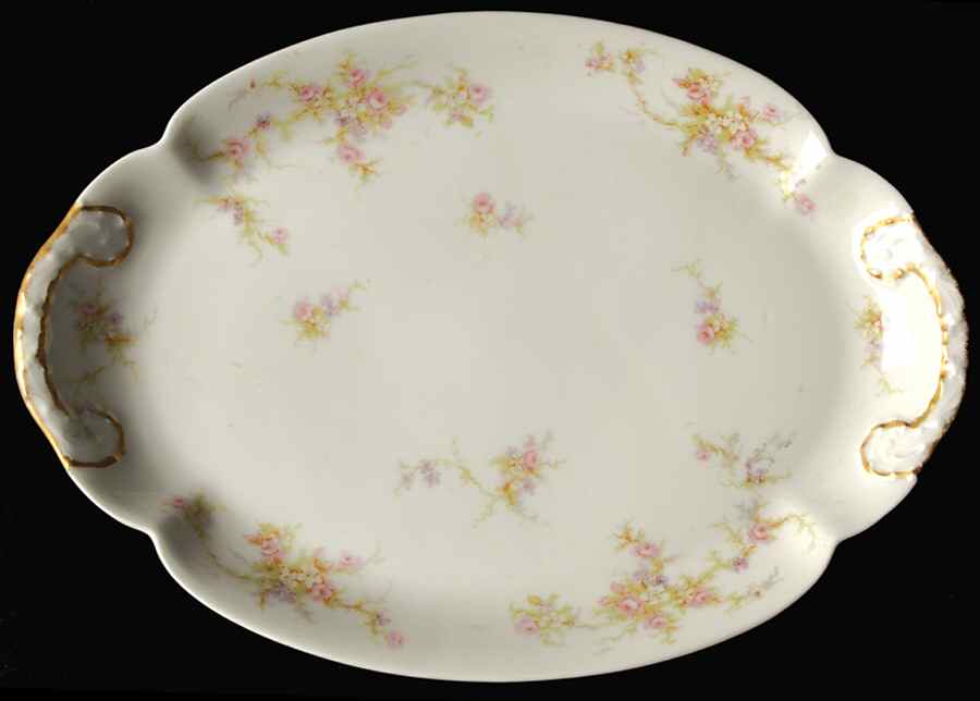 H504 11" Oval Serving Platter by Haviland-1
