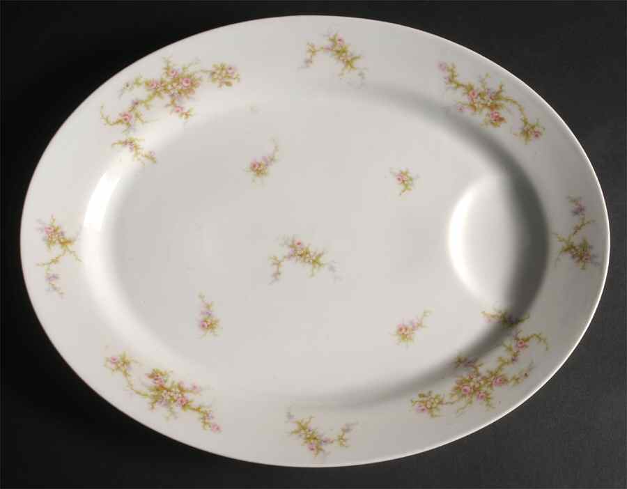H504 15" Oval Serving Platter by Haviland-1