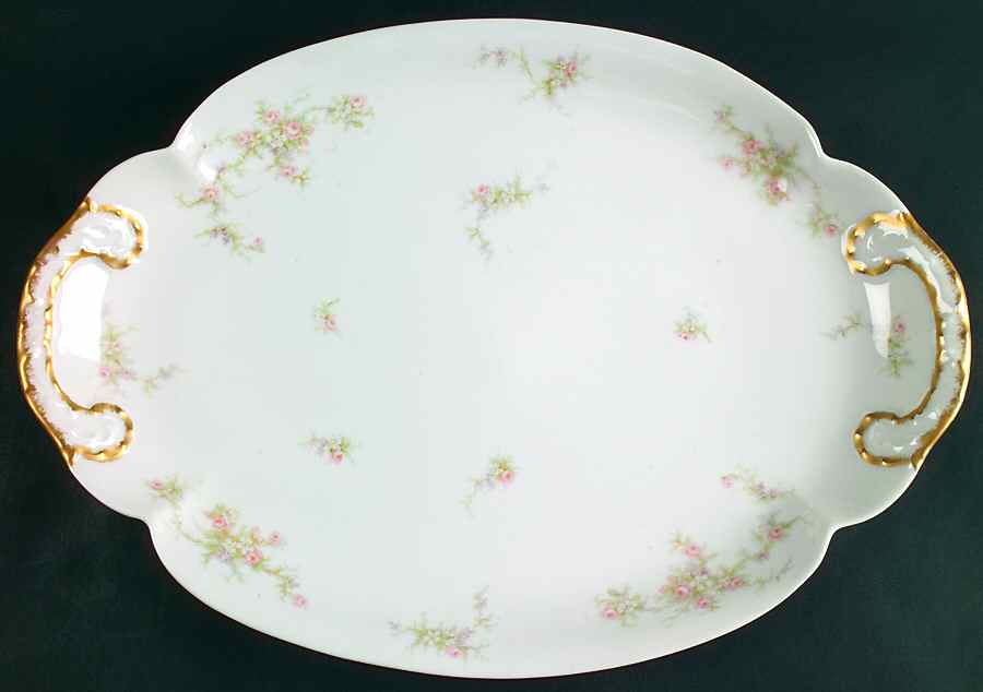 H504 16" Oval Serving Platter by Haviland-1
