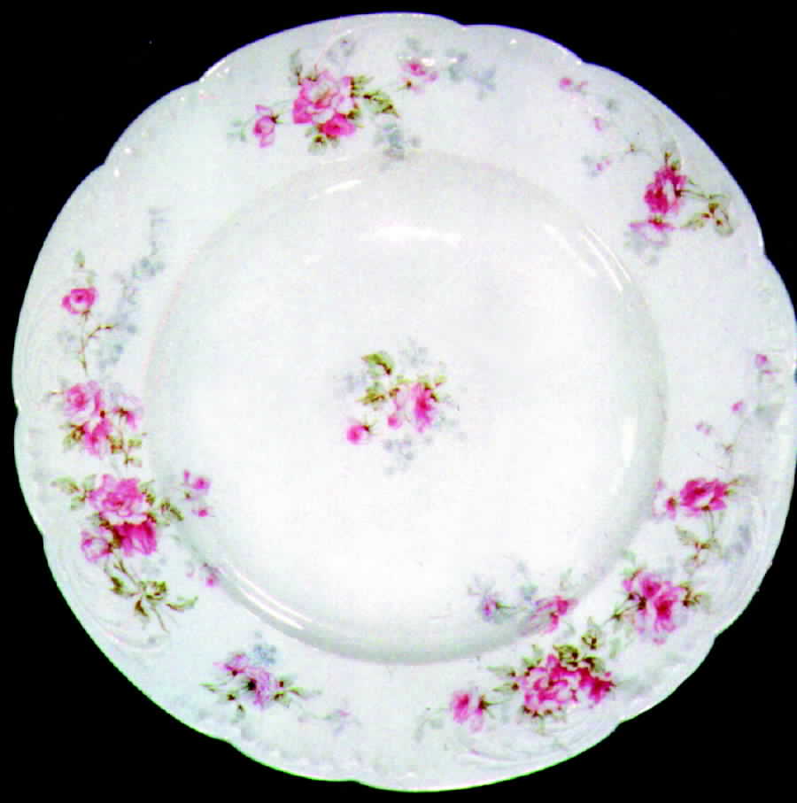 H511 Salad Plate by Haviland-1