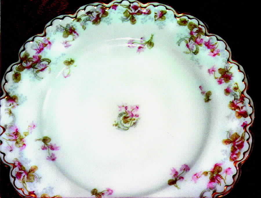 H512 Dinner Plate by Haviland-1