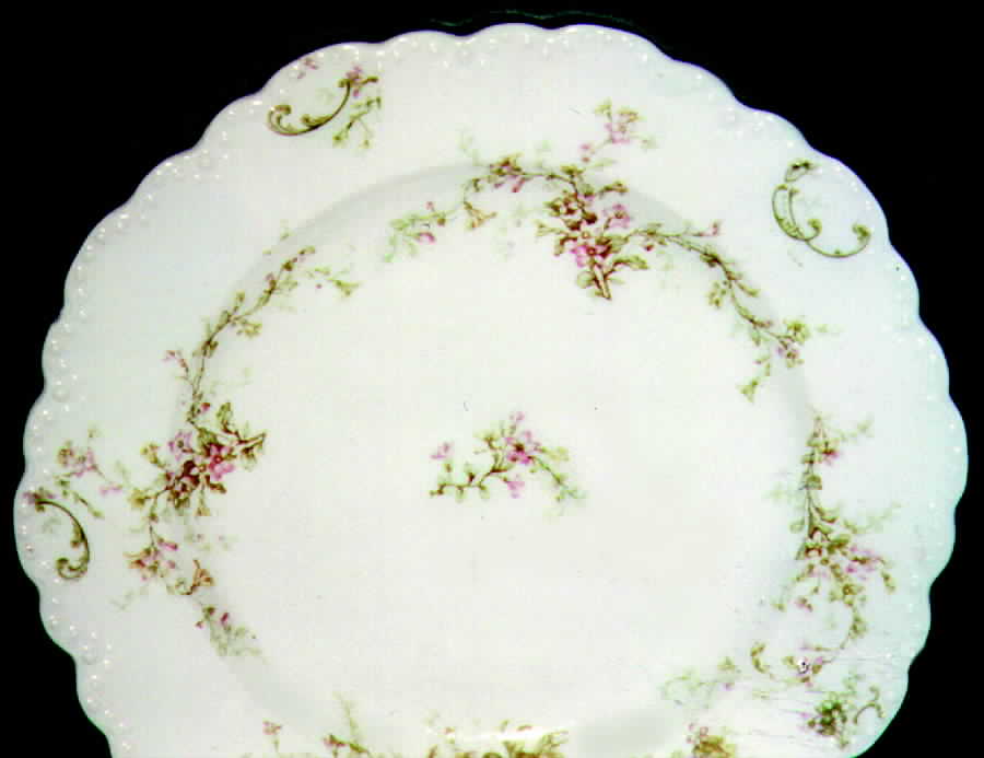 Schleiger 1024-3 Dinner Plate by Haviland-1