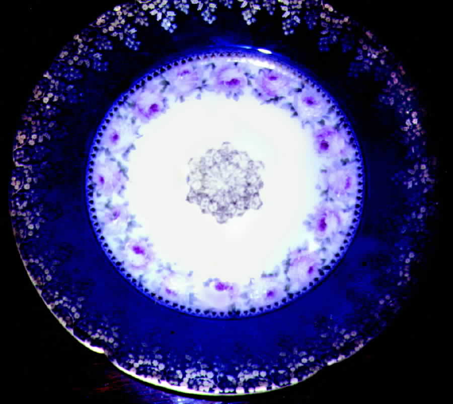 H516 Dinner Plate by Haviland-1