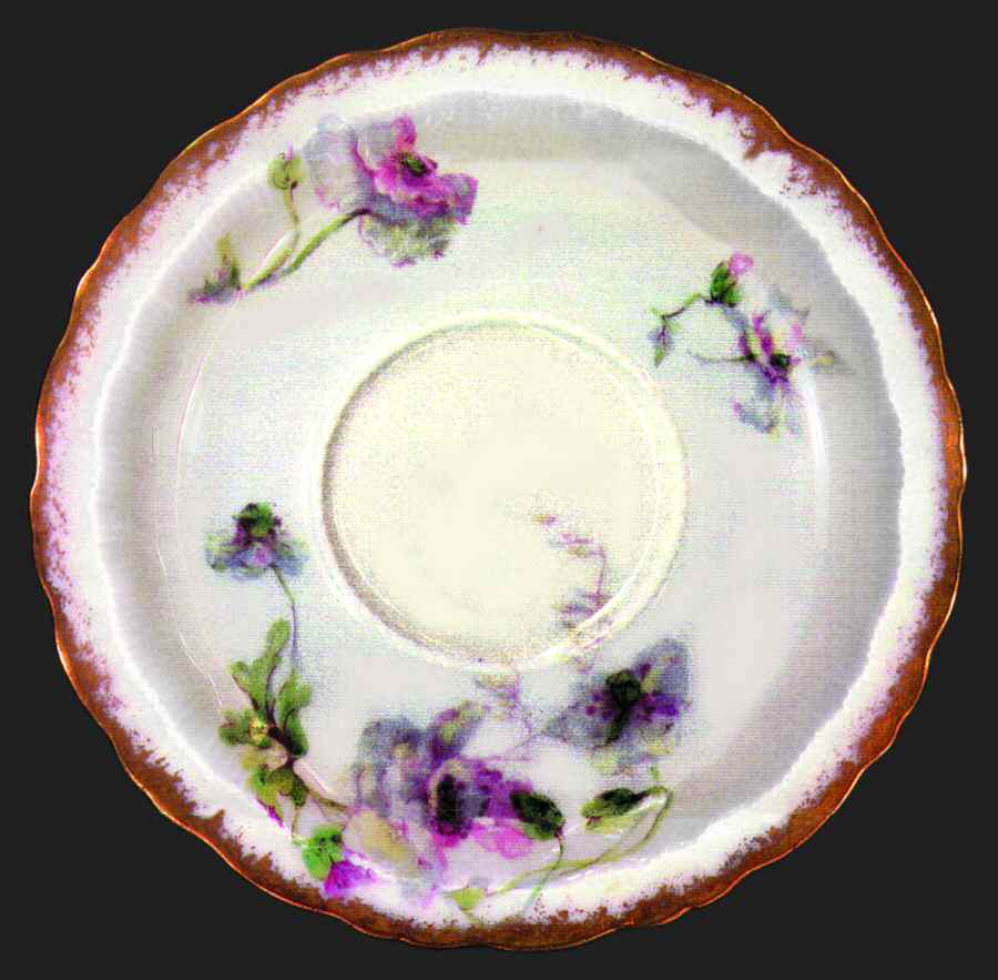 Schleiger 607-3 Saucer by Haviland-1