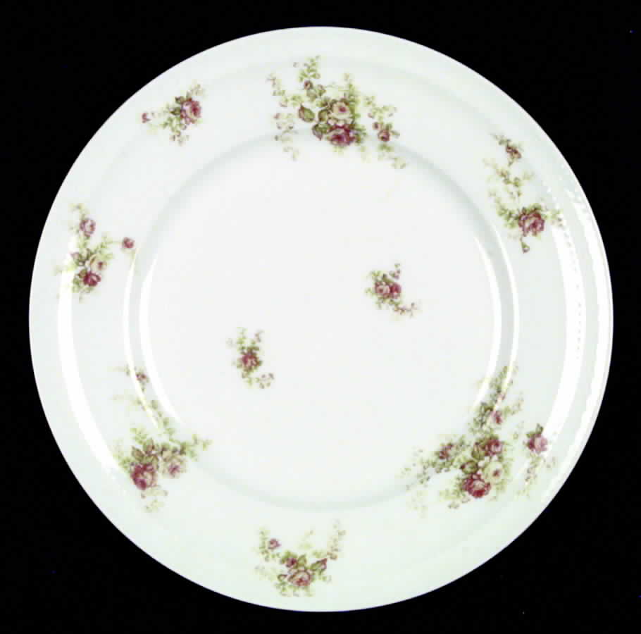 Schleiger 456-1 Dinner Plate by Haviland-1