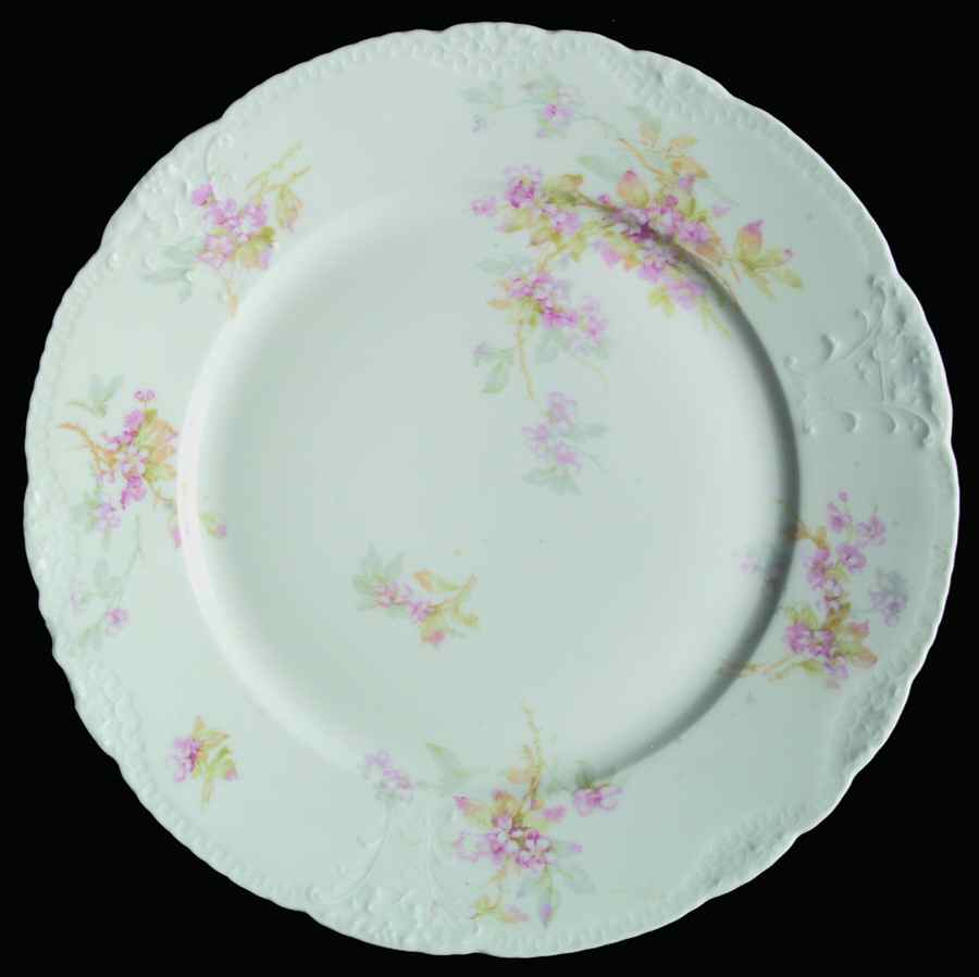 H525 Dinner Plate by Haviland-1