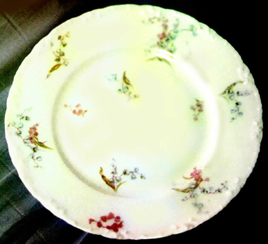 Schleiger 336-1 Dinner Plate by Haviland-1