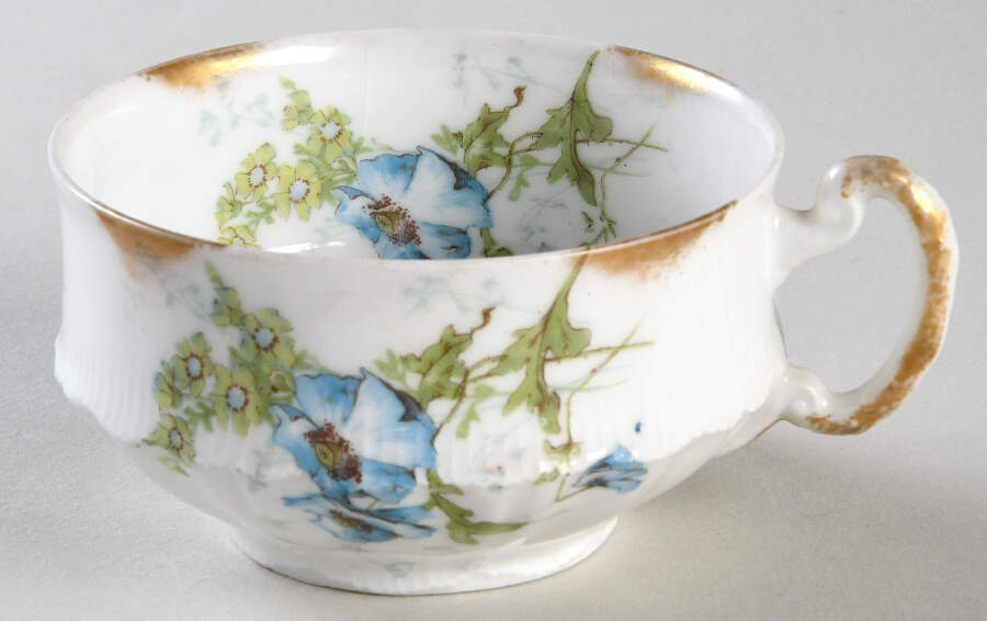 H533 Flat Cup by Haviland-1