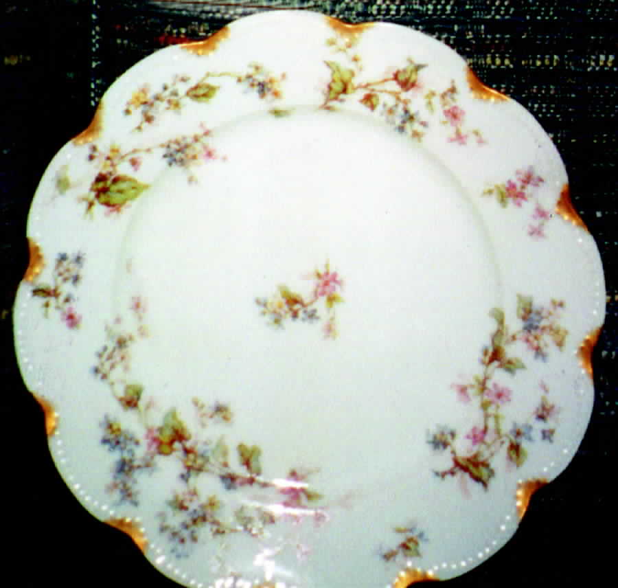 Schleiger 232-1 Dinner Plate by Haviland-1