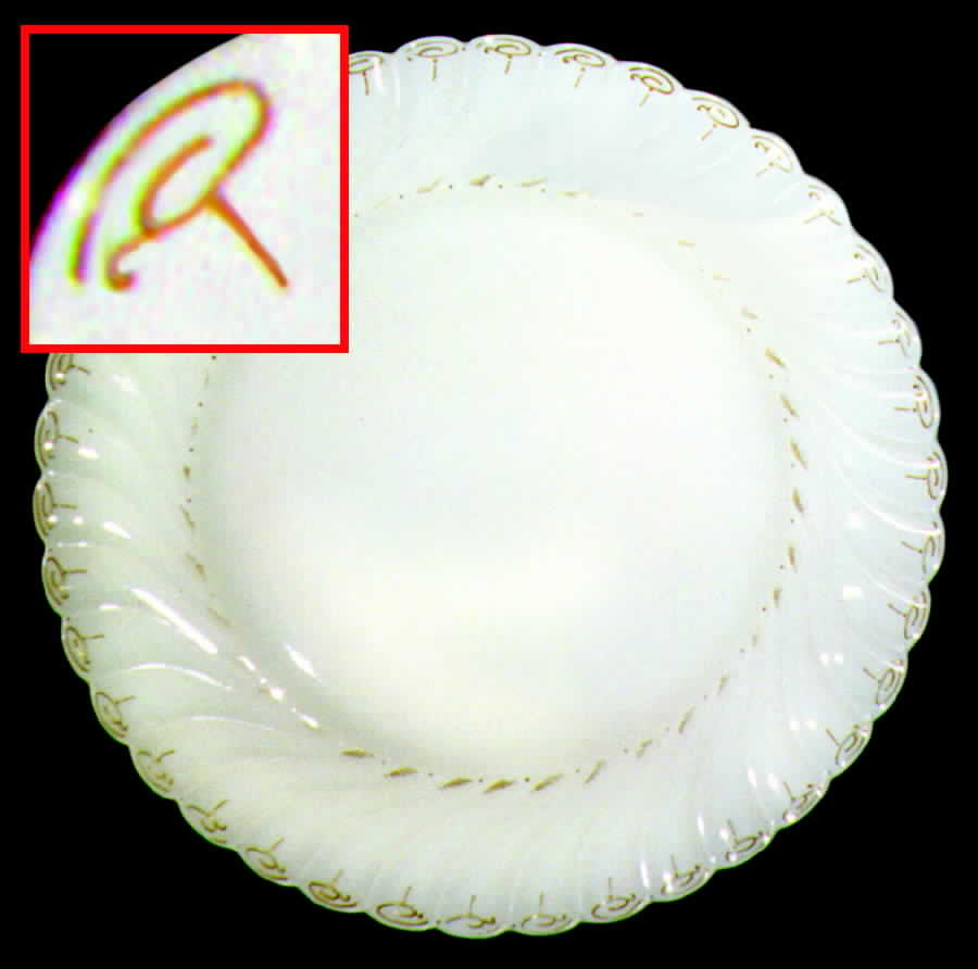 H544 Dinner Plate by Haviland-1