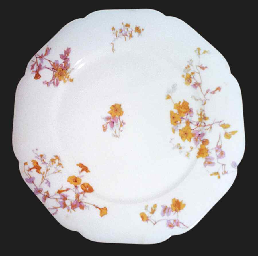 H546 Dinner Plate by Haviland-1