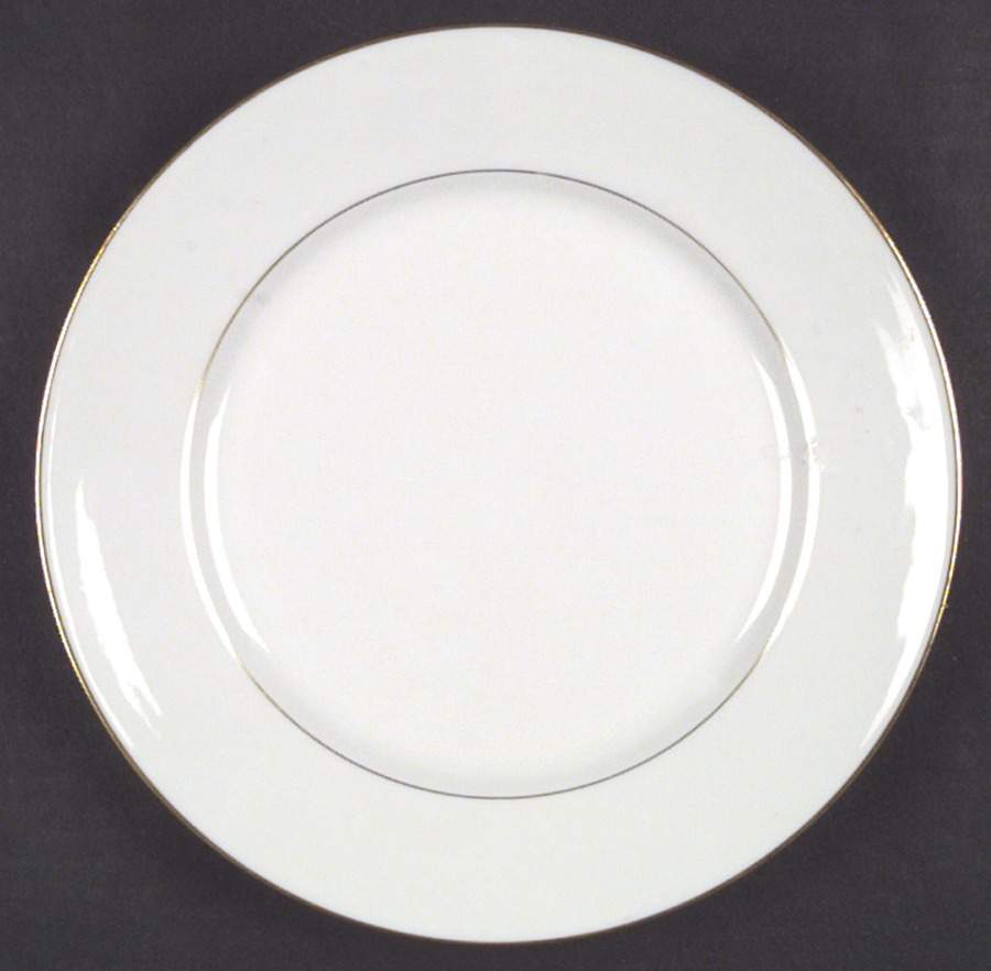 H55 Dinner Plate by Haviland-1