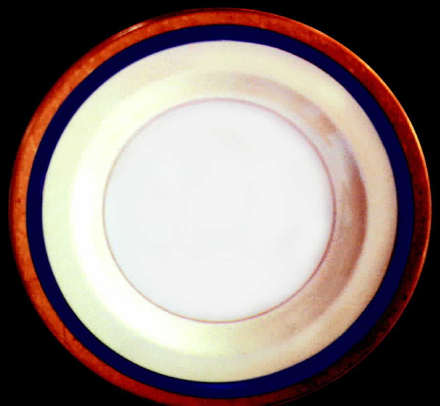 H555 Dinner Plate by Haviland-1