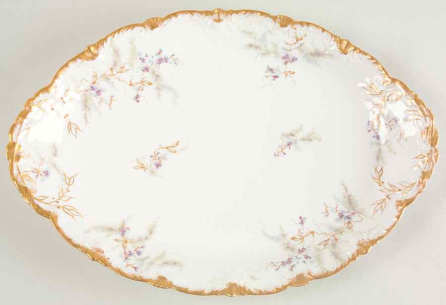 Schleiger 1026-2 14" Oval Serving Platter by Haviland-1