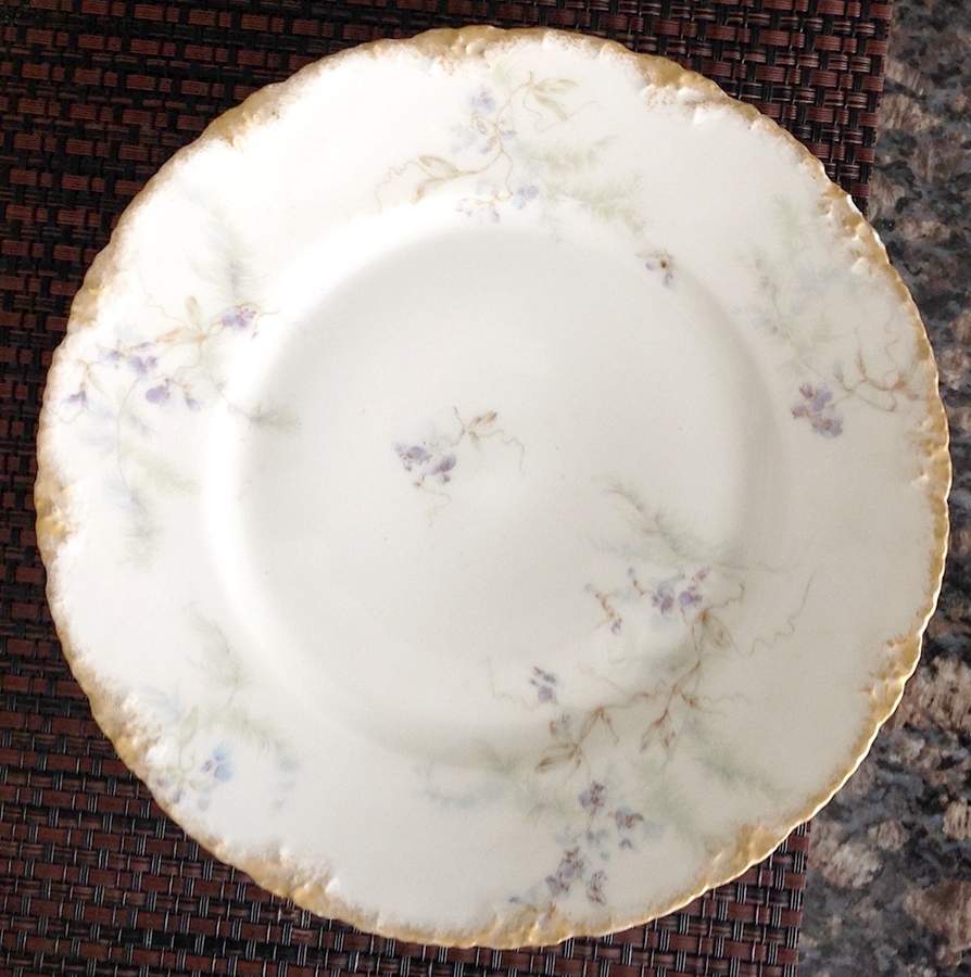 Schleiger 1026-2 Salad Plate by Haviland-1