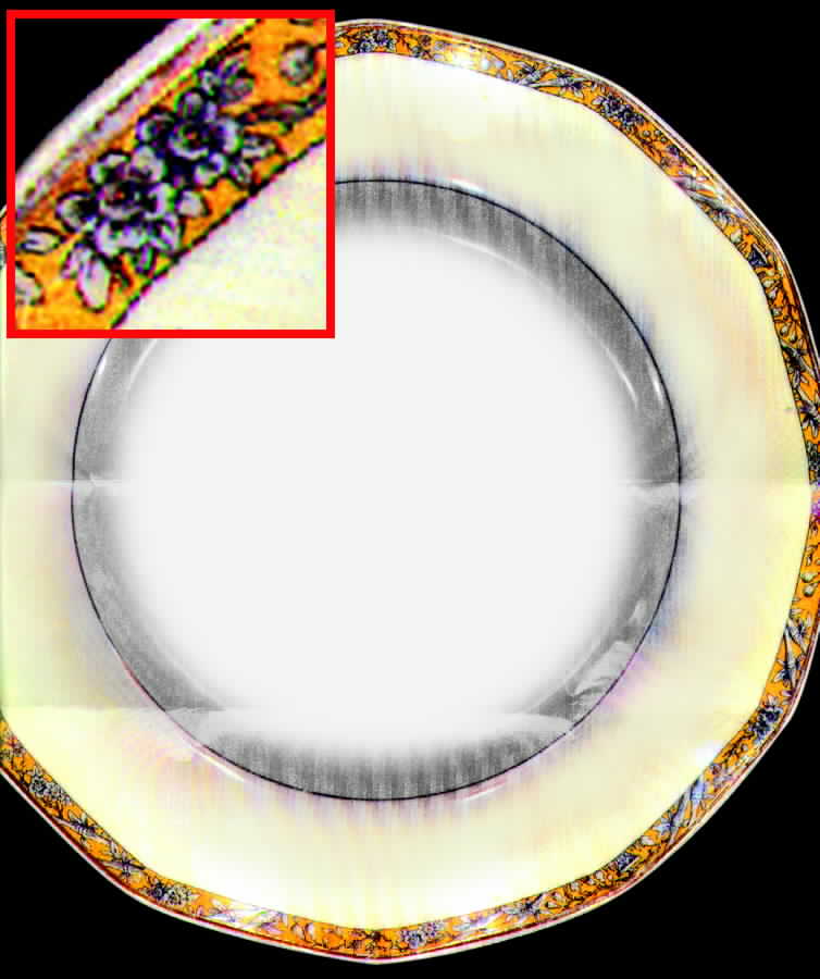 H564 Dinner Plate by Haviland-1