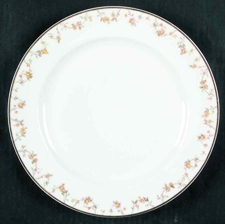 Schleiger 111-1 Dinner Plate by Haviland-1